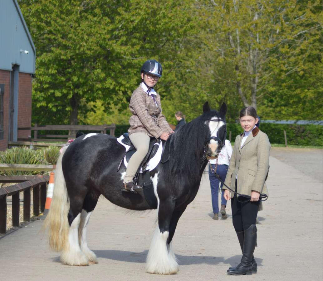 Reserve Champion